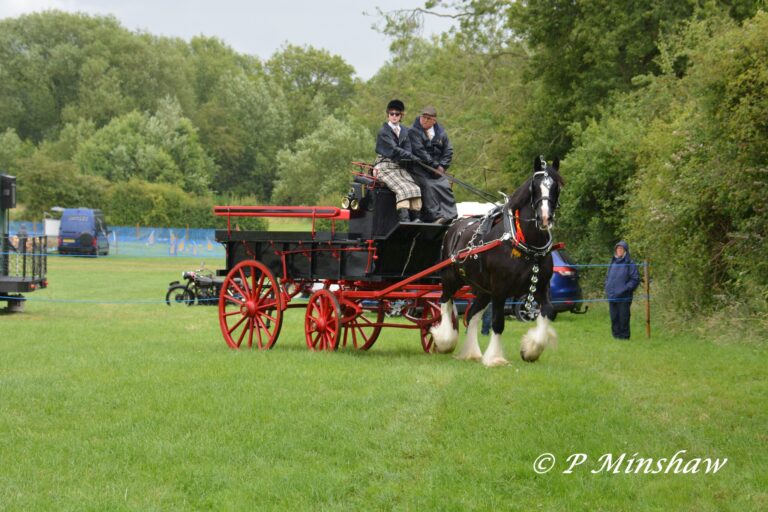 Midland Heavy Horse Association