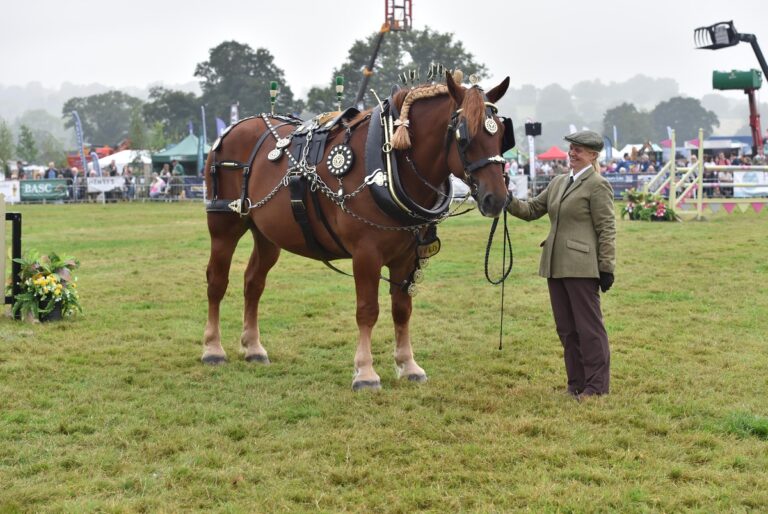 Helen Roberts holding her Suffolk