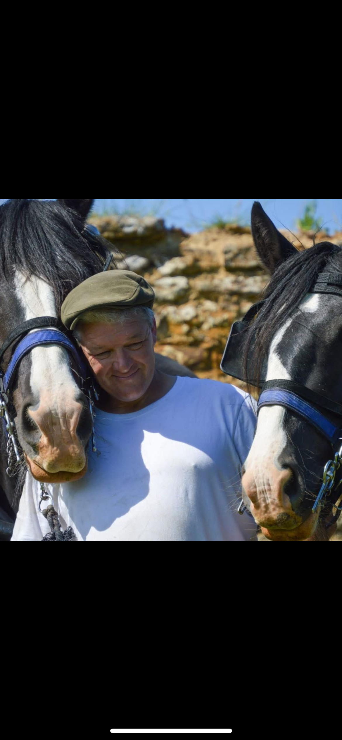John and his shires