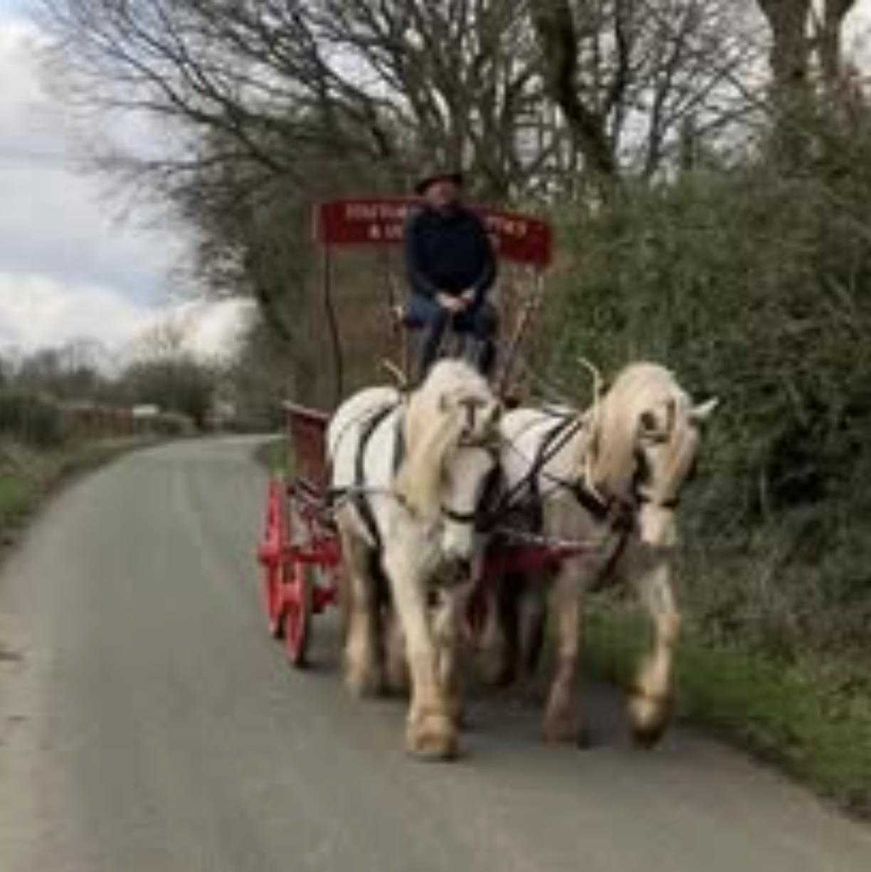 Midland Heavy Horse Association